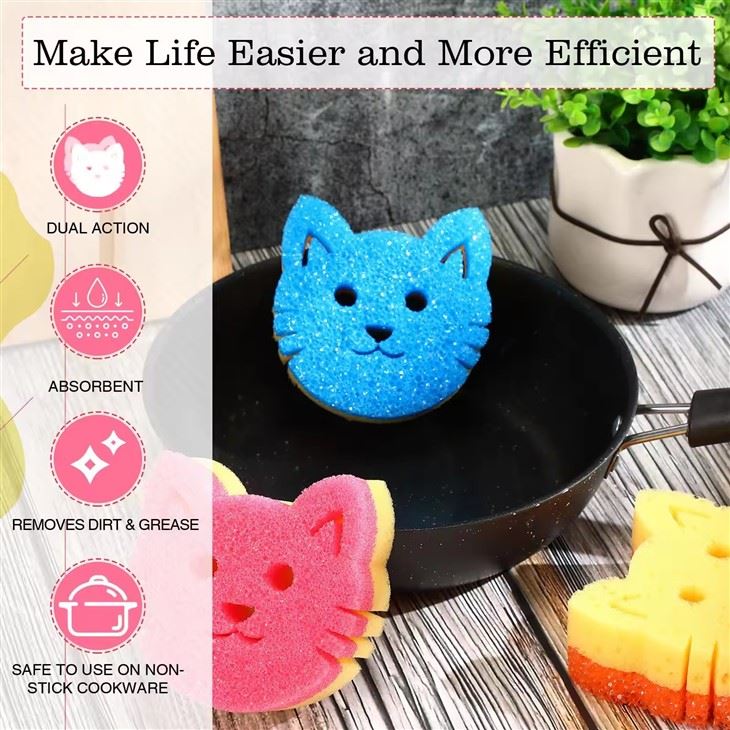 2 in 1 Kitchen Sponge best